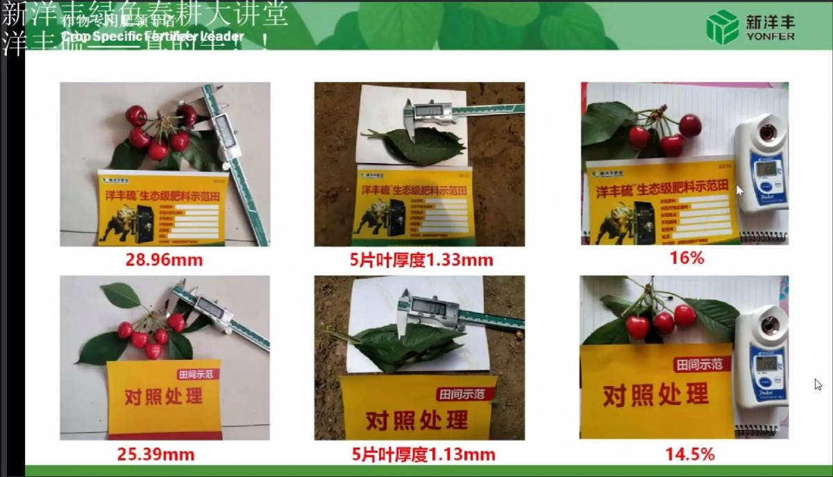 图13.jpg
