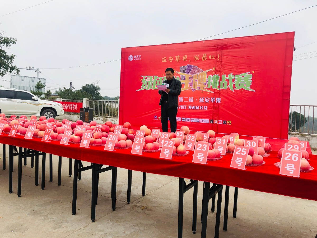 新洋丰苹果肥分公司经理周继东致欢迎词.jpg