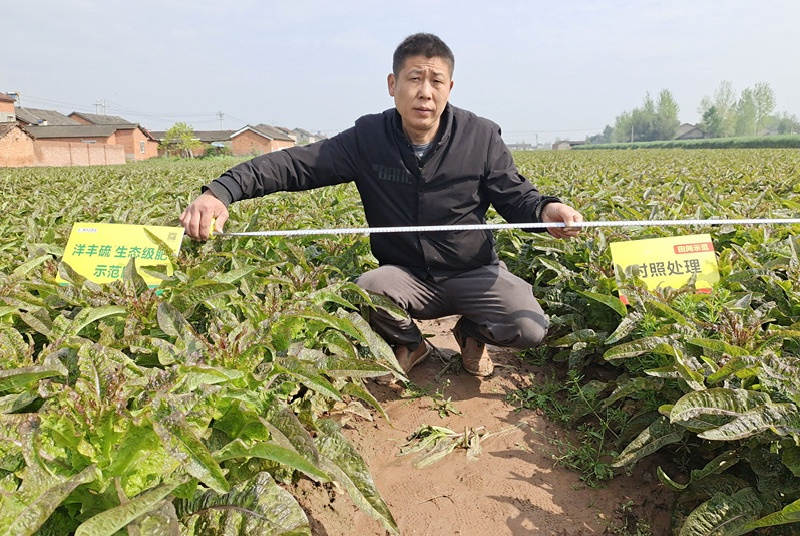 翟勇在量株高_副本.jpg