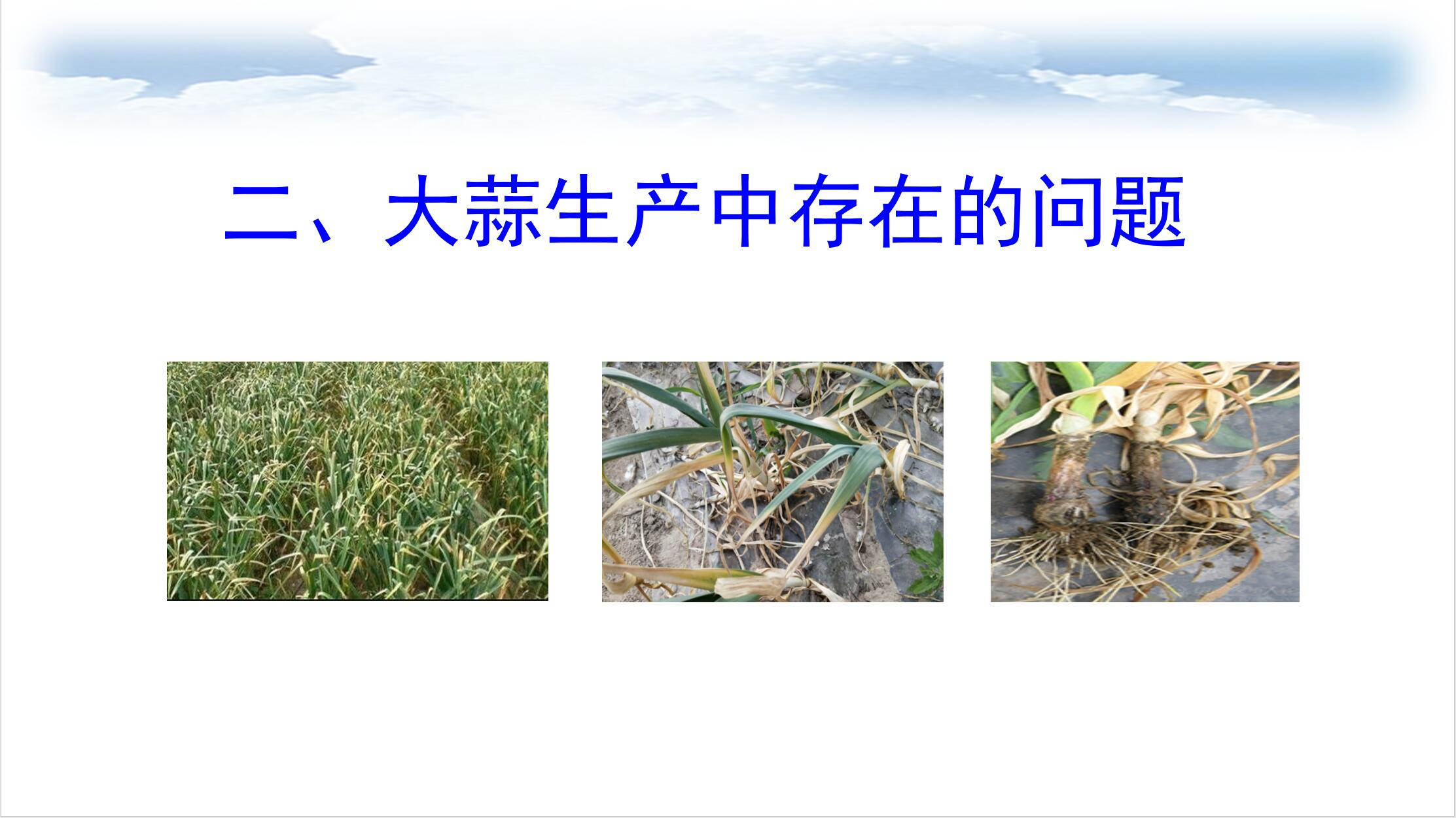 图15.jpg