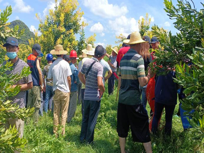 图片4种植户在田间参观1.jpg