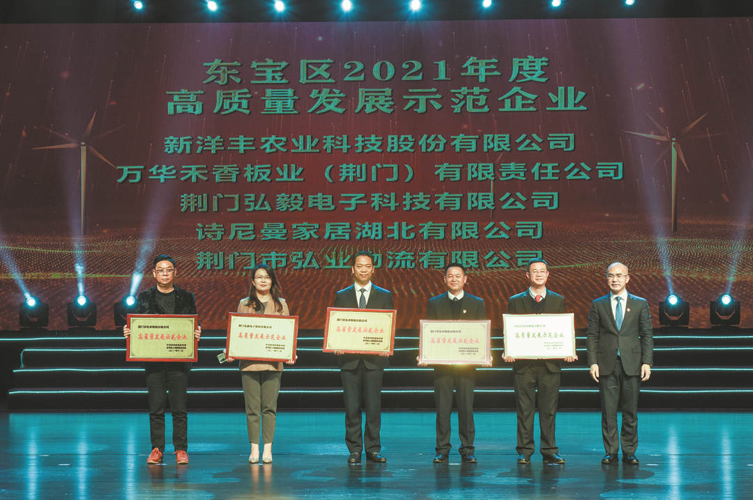 左三为新洋丰代表上台领奖.jpg