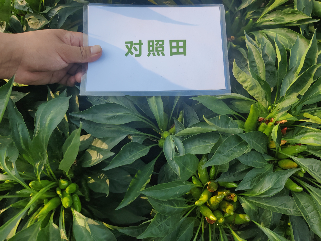 3组 (3).jpg