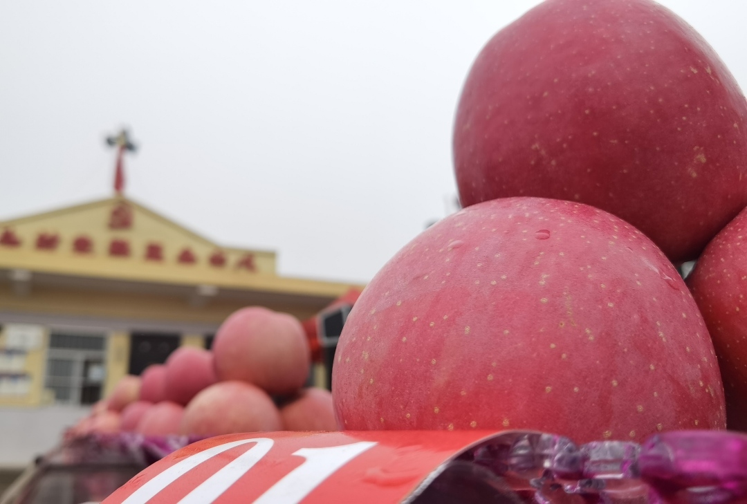 微信图片_20221005084208.jpg